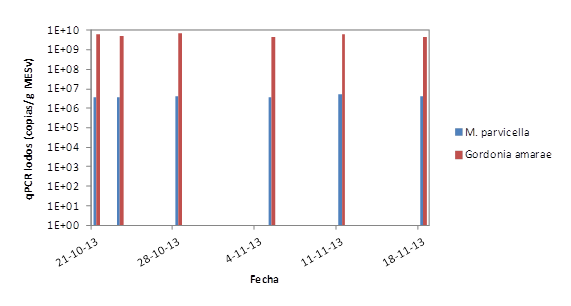 Imagen de las espumas residuales localizadas en el deflector del Quantum